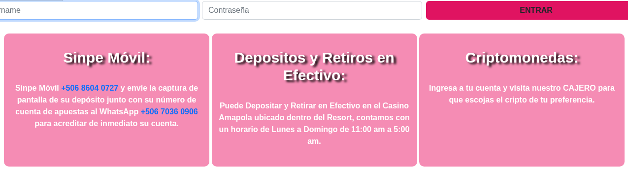 Recorte real del bloque de depósitos y retiros publicado por Amapola Casino